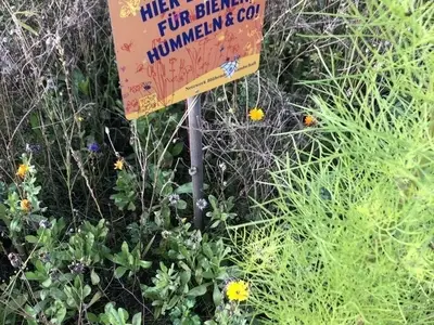 Ferienwohnung für 3 Personen (32 m²) in Steinbeck 8/10