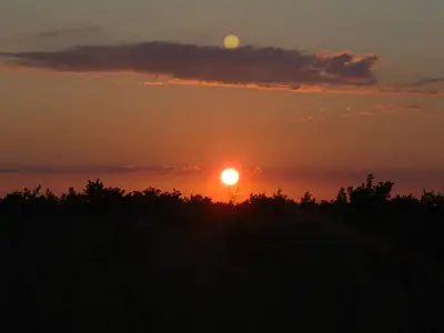 ViewSummer