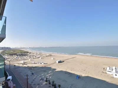 ViewSummer