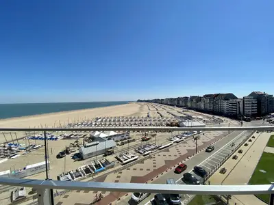 ViewSummer