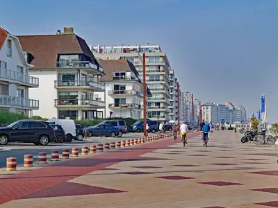 AreaSummer1KM