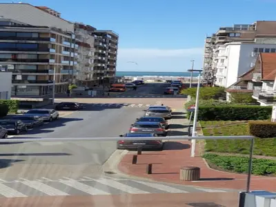 ViewSummer
