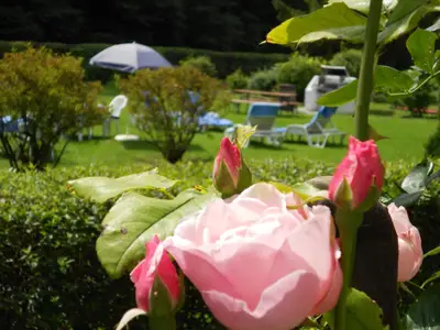 Ferienwohnung für 2 Personen (42 m²) in Kochel am See 6/10