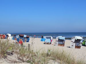 23967375-Ferienwohnung-4-Kölpinsee (Usedom)-300x225-2