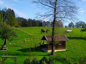 23579442-Ferienwohnung-5-Königsdorf-300x225-2