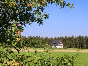 Ferienwohnung für 4 Personen (59 m²) in Königsfeld Im Schwarzwald