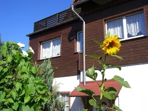 Ferienwohnung für 4 Personen (60 m²) in Königshütte