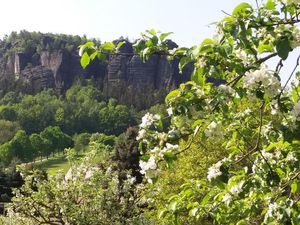 23514878-Ferienwohnung-5-Königstein/Sächsische Schweiz-300x225-4