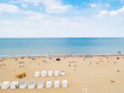 ViewSummer