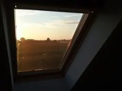 Ferienwohnung für 1 Person in Kollmar 3/10