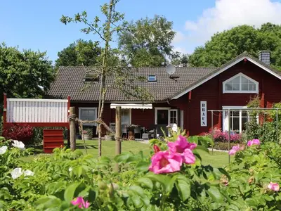 Ferienwohnung für 4 Personen (50 m²) in Kollmar 1/10