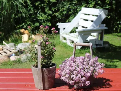 Ferienwohnung für 4 Personen (50 m²) in Kollmar 9/10