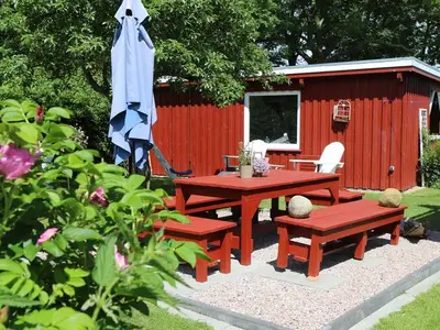 Ferienwohnung für 4 Personen (50 m²) in Kollmar 6/10