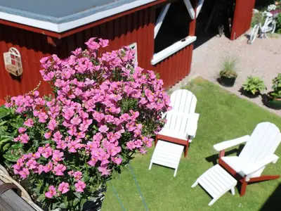 Ferienwohnung für 4 Personen (50 m²) in Kollmar 10/10