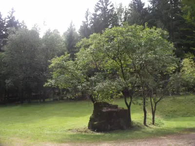 Ferienwohnung für 5 Personen (100 m²) in Kollnburg 5/10