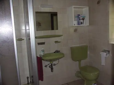 Ferienwohnung für 5 Personen (100 m²) in Kollnburg 9/10