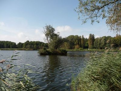 Ferienwohnung für 2 Personen (45 m²) in Kölpinsee (Usedom) 7/10