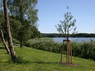 Ferienwohnung für 4 Personen (50 m²) in Kölpinsee (Usedom) 2/10