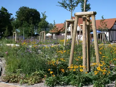 Ferienwohnung für 4 Personen (50 m²) in Kölpinsee (Usedom) 4/10