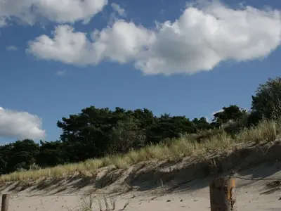 Ferienwohnung für 4 Personen (50 m²) in Kölpinsee (Usedom) 5/10