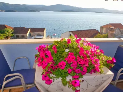 Ferienwohnung für 4 Personen (45 m²) in Komarna 1/10