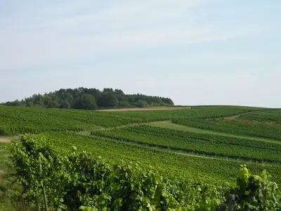 Ferienwohnung für 4 Personen (70 m²) in Königheim 10/10