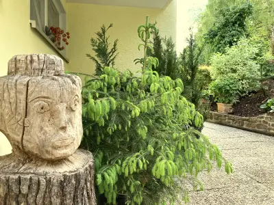 Ferienwohnung für 4 Personen (75 m²) in Königsfeld Im Schwarzwald 5/10