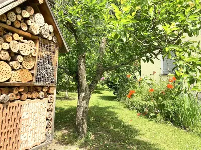 Ferienwohnung für 4 Personen (75 m²) in Königsfeld Im Schwarzwald 6/10