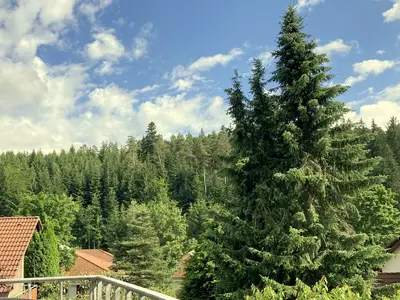 Ferienwohnung für 4 Personen (75 m²) in Königsfeld Im Schwarzwald 7/10
