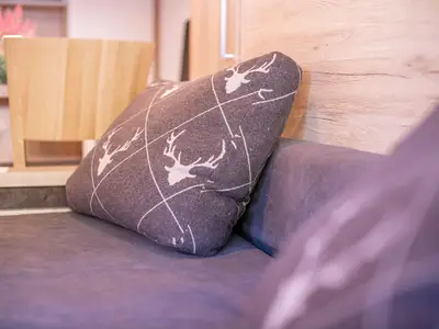 Ferienwohnung für 4 Personen (40 m²) in Königsleiten 10/10