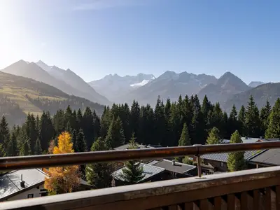 Ferienwohnung für 4 Personen (34 m²) in Königsleiten 10/10
