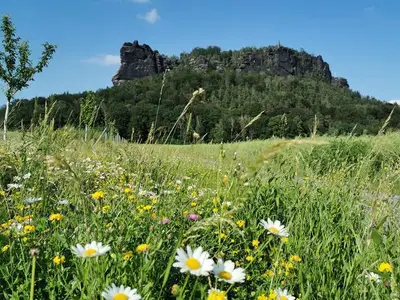 Ferienwohnung für 2 Personen (35 m²) in Königstein/Sächsische Schweiz 2/10
