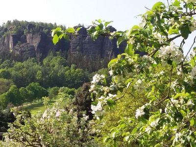 Ferienwohnung für 5 Personen (65 m²) in Königstein/Sächsische Schweiz 5/10