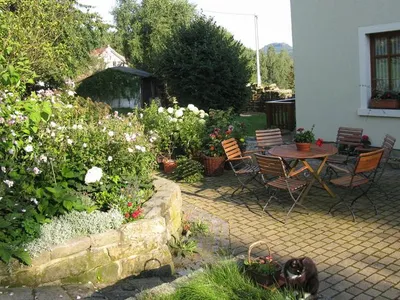 Ferienwohnung für 4 Personen (70 m²) in Königstein/Sächsische Schweiz 10/10