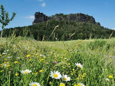Ferienwohnung für 4 Personen (85 m²) in Königstein/Sächsische Schweiz 2/10