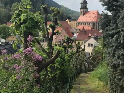 Ferienwohnung für 4 Personen (52 m²) in Königstein/Sächsische Schweiz 3/10