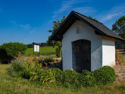 Premiumwanderweg Konzer Höhenrunde (02)