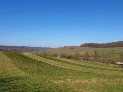 Zimmers Tälchenhof Konz-Oberemmel (06)