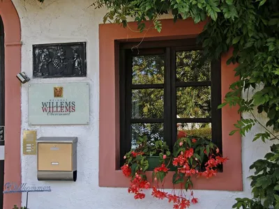 Ferienweingut Wilems-Willems Konz-Oberemmel 2