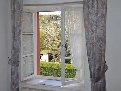 Ferienweingut Wilems-Willems Konz-Oberemmel 10