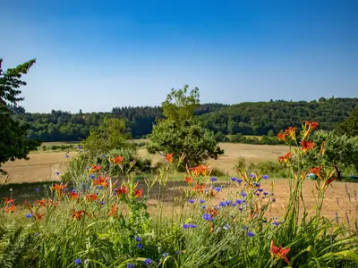 Premiumwanderweg Konzer Höhenrunde (01)