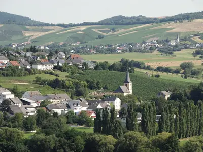 Blick auf Oberemmel (2)