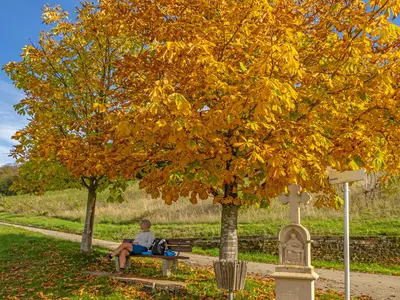 Wanderwege Konzer Tälchen