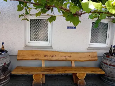 Weingut-Ferienwohnung Jungblut (5)