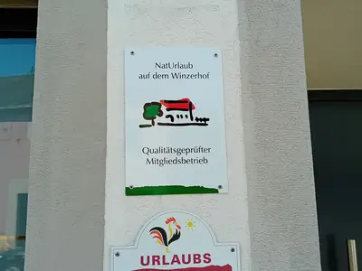 Weingut-Ferienwohnung Jungblut (8)