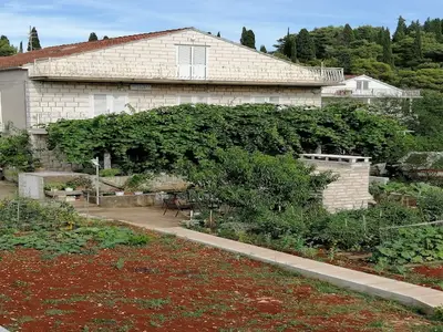 GardenSummer