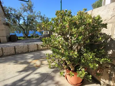 Ferienwohnung für 4 Personen in Korčula 10/10