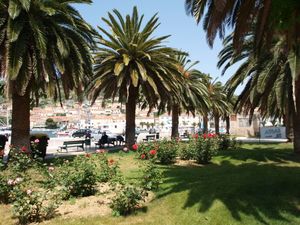 23844510-Ferienwohnung-3-Korcula/Vela Luka-300x225-3