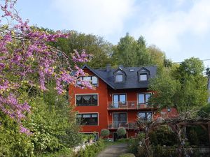 Haus Ilex im Frühling