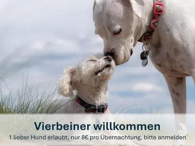 Ferienwohnung für 24 Personen (210 m²) in Korswandt 3/10